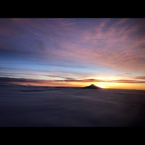 Meet your Posher, Ella